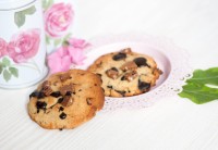 LowCarb Double Chocolate Chip Cookies