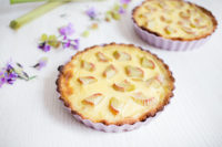 Low Carb Rhabarber-Pudding-Tarte
